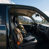 rp2019-car-gun-safe-image