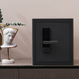 Luxury Closet Safe RPHS45 6