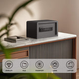 Biometric Home Safe with Fingerprint Digital Lock for Cash & Jewelry, 0.3 Cubic Feet, RPNB RP20FSA