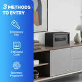 Biometric Home Safe with Fingerprint Digital Lock for Cash & Jewelry, 0.3 Cubic Feet, RPNB RP20FSA