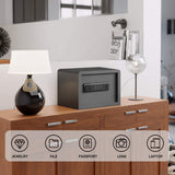 Biometric Home Safe with Fingerprint Digital Lock for Cash & Jewelry, 0.5 Cubic Feet, RPNB RP25FSA