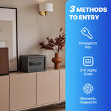 Biometric Home Safe with Fingerprint Digital Lock for Cash & Jewelry, 0.5 Cubic Feet, RPNB RP25FSA