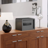 Biometric Home Safe with Fingerprint Digital Lock for Cash & Jewelry, 0.5 Cubic Feet, RPNB RP25FSA