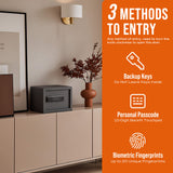 Biometric Home Safe with Fingerprint Digital Lock for Cash & Jewelry, 0.5 Cubic Feet, RPNB RP25FSA