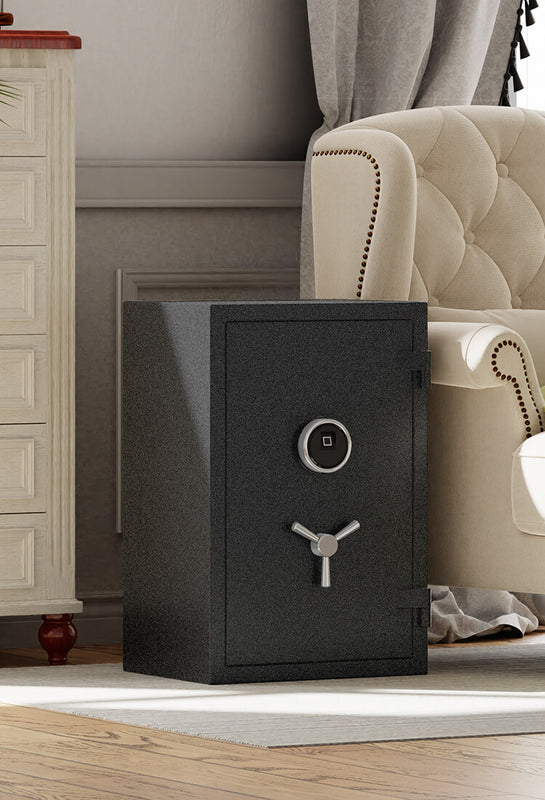 Fireproof Home Safe, Biometric Fireproof Safe, Fireproof Box for Money ...